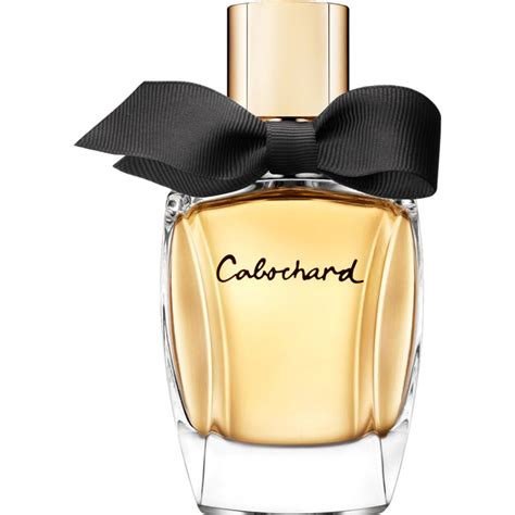 cabochard parfum rossmann|More.